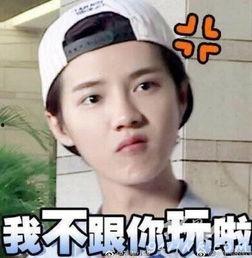 鹿晗前妻表情包,揭秘网络红人的魅力瞬间