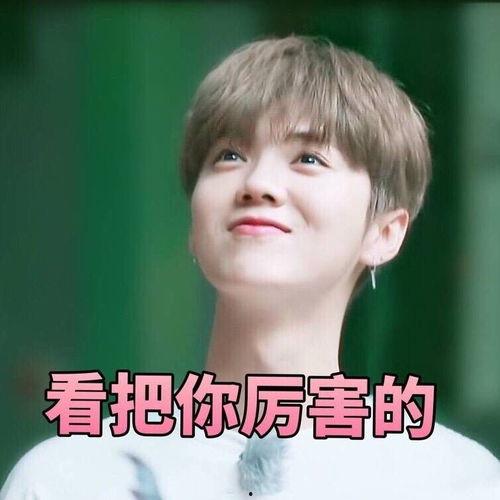 鹿晗前妻表情包,揭秘网络红人的魅力瞬间