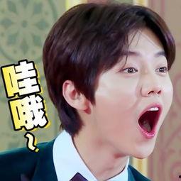 鹿晗前妻表情包,揭秘网络红人的魅力瞬间