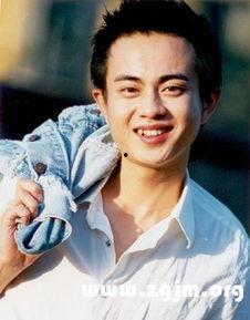 大陆电视剧男演员大全,璀璨星河中的璀璨星辰