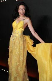 艳色明星,璀璨星河中的璀璨星辰