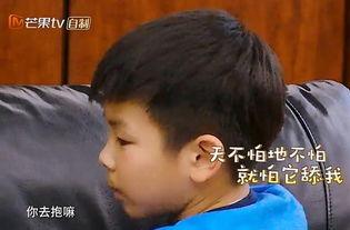 宠爱搞笑不,欢乐满溢的温馨时光