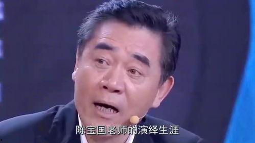 中国国宝级演员是谁,揭秘中国演艺界的璀璨明珠