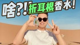 韩国女主播草门,揭秘网络红人的崛起之路