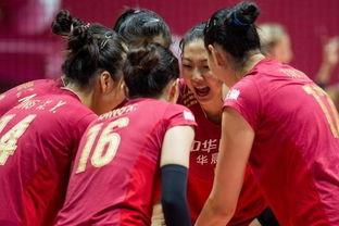 中国女排的资料,荣耀之路,铁血铸就的排球传奇